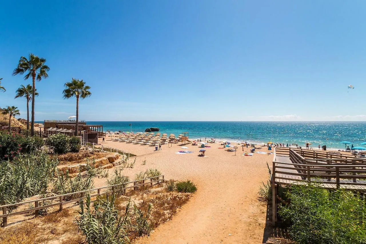 Window Paradise By Alzira Albufeira 0*,