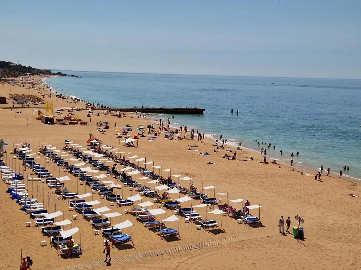 Window Paradise By Alzira Albufeira